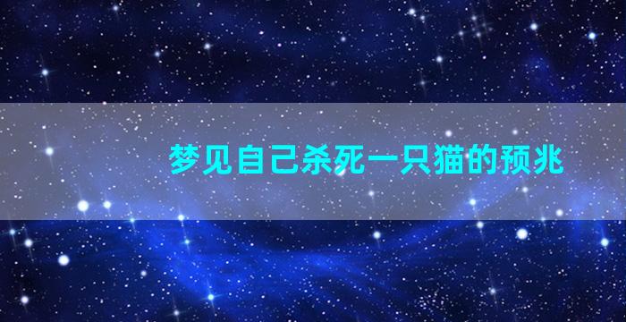 梦见自己杀死一只猫的预兆