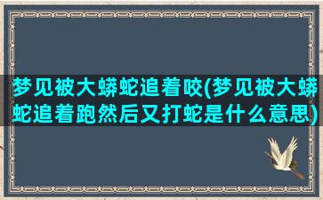 梦见被大蟒蛇追着咬(梦见被大蟒蛇追着跑然后又打蛇是什么意思)