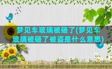 梦见车玻璃被砸了(梦见车玻璃被砸了被盗是什么意思)